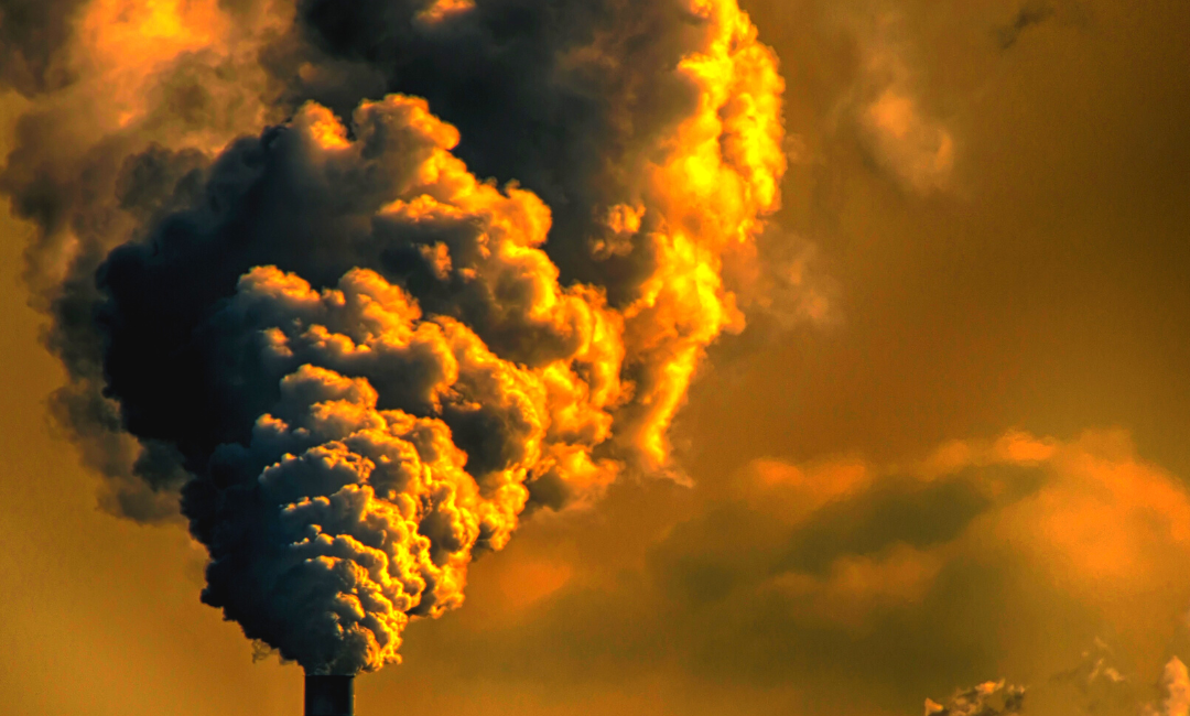 Reducción de Emisiones: Acciones Conscientes por el Planeta
