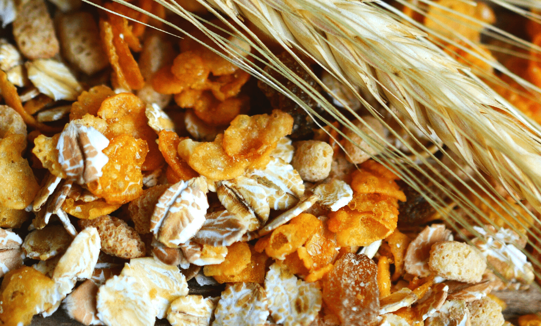 Cereales: Fuentes de Energía y Salud